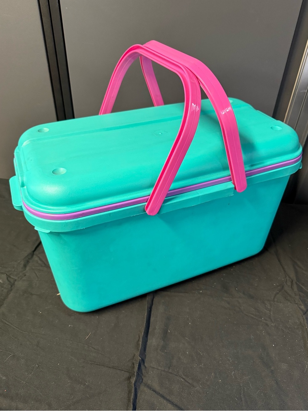 Eagle CraftStor Sewing Basket Turquoise Pink Purple Plastic Storage Organizer